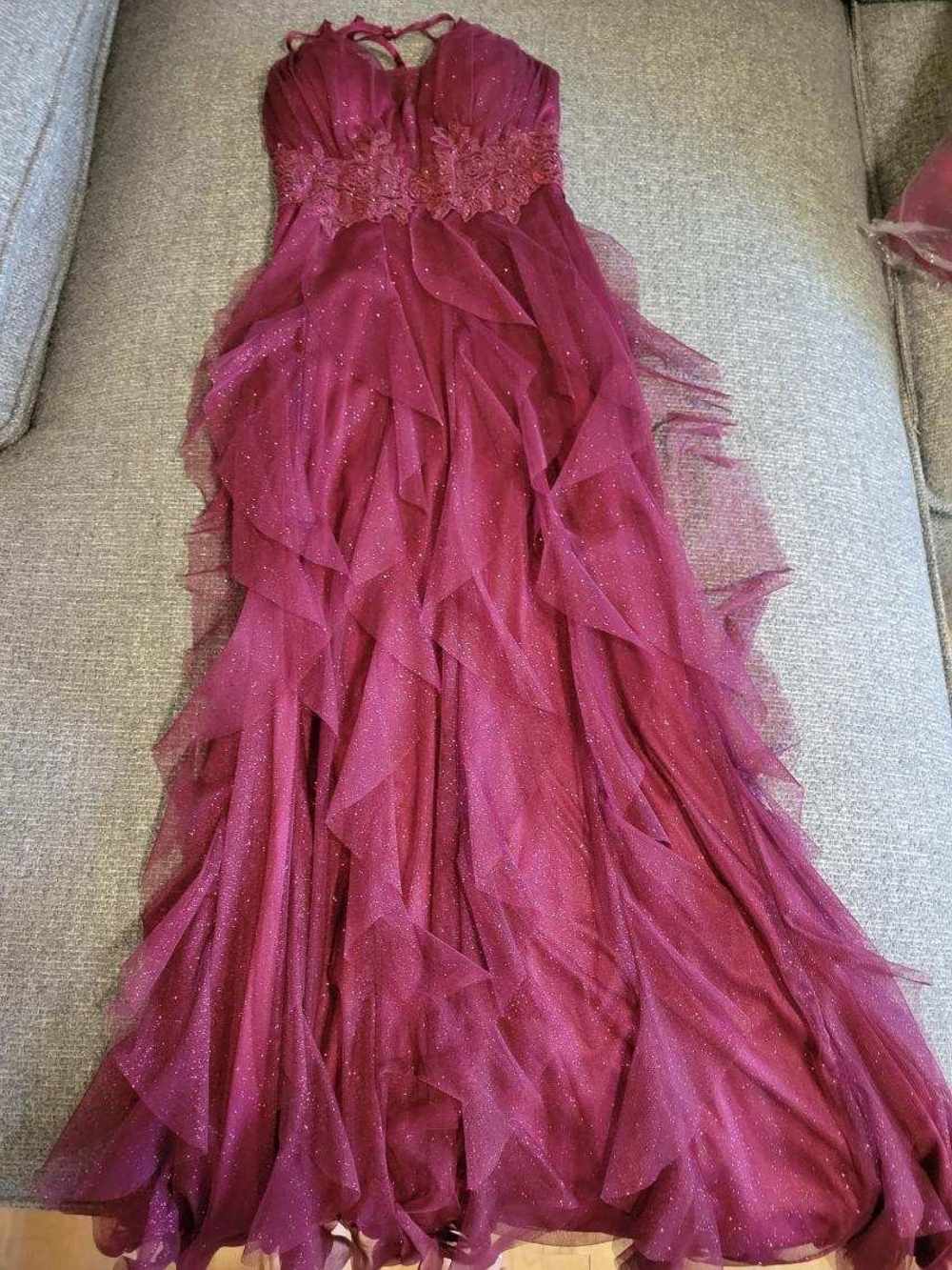 Sparkle Burgundy Dress with Ruffled Tulle Skirt Size 0